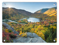Artist Bluff Autumn Sunburst Glass Panel by Chris Whiton