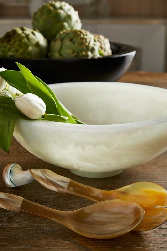 Natural Horn and Shell Seychelles Servers